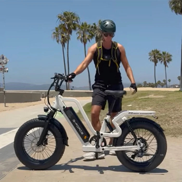 ebike moutain bike full suspension - g-force rs step-thru ebike